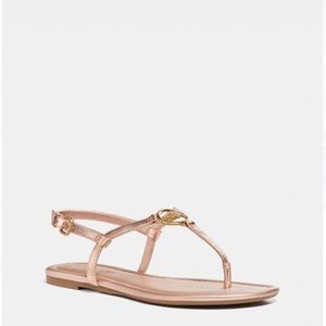 COACH Jazmin Sandal 9.5 in Rose Gold